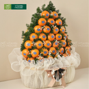 giỏ trái cây dâng lễ tone màu cam với trái cây quýt