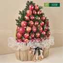 giỏ trái cây dâng lê trái cây táo tone màu đỏ