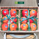 Giỏ Trái Cây Táo Bổ Sung Vitamin Sức Khỏe Dồi Dào