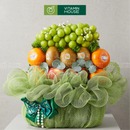 Giỏ Quà Trái Cây Tầng Xanh Tươi: Nho, Kiwi, Táo, Quýt, Nhập Khẩu & Hoa Tươi Đi Thăm Người Bệnh