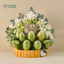 Giỏ Trái Cây Xoài, Dưa Lưới Kết Hợp Sen Đá Kính Lễ