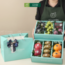 Hộp 2 tầng trái ây nhập khẩu màu xanh, cherry, kiwi, nho xanh