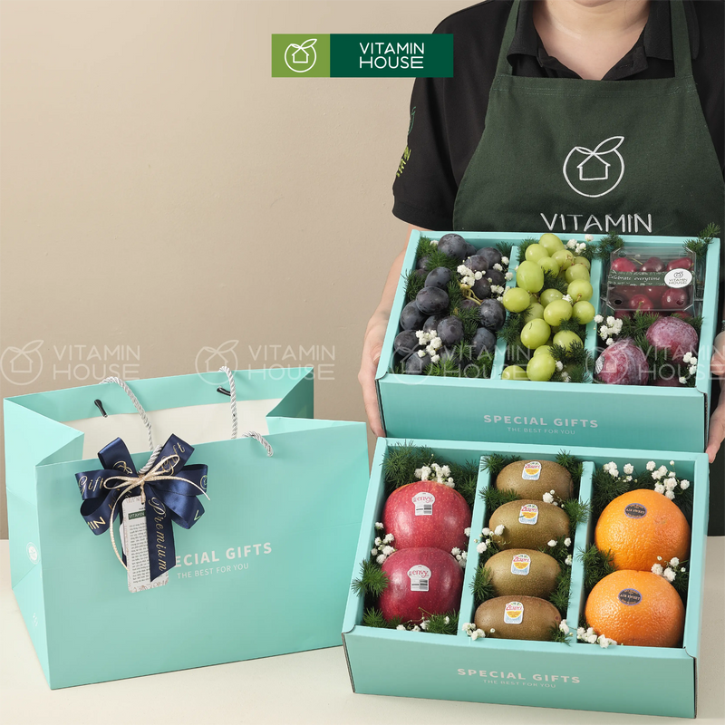 Hộp 2 tầng trái ây nhập khẩu màu xanh, cherry, kiwi, nho xanh
