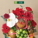 Hộp Quà Bánh Trung Thu Trái Cây Cao Cấp Fusion Moon 6