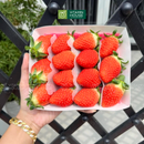 [Trái cây nhập khẩu] Dâu Joy Farm Hàn Quốc 330g