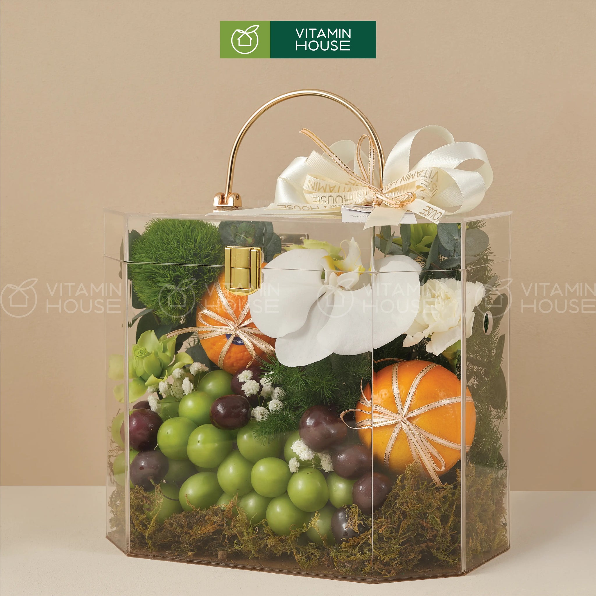 hộp quà trái cây nhập khẩu cherry nho xanh quýt úc đựng trong hộp vali sang trọng