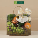 hộp quà trái cây nhập khẩu cherry nho xanh quýt úc đựng trong hộp vali sang trọng