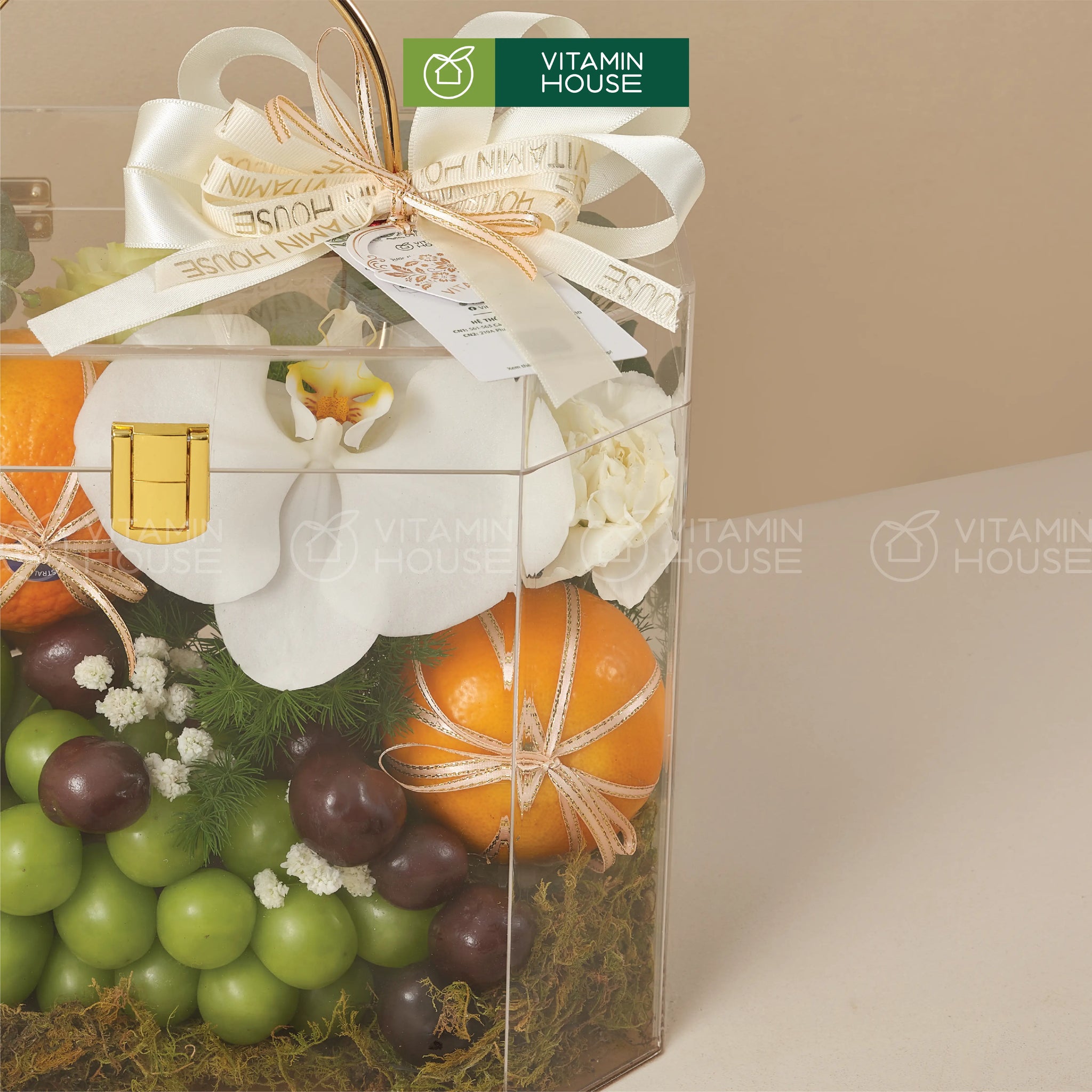 hộp quà trái cây nhập khẩu cherry nho xanh quýt úc đựng trong hộp vali sang trọng