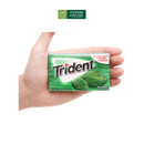 Kẹo Gum Trident Mỹ Vị Bạc Hà Spearmint