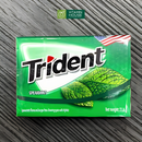Kẹo Gum Trident Mỹ Vị Bạc Hà Spearmint
