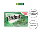 Kẹo Gum Trident Mỹ Vị Bạc Hà Spearmint