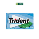 Kẹo Gum Trident Mỹ Vị Bạc Hà (xanh mint)