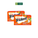 Kẹo Gum Trident Mỹ Vị Trái cây