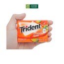 Kẹo Gum Trident Mỹ Vị Trái cây