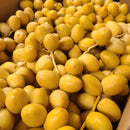 [Trái cây nhập khẩu] Chà Là Tươi Nam Phi (Kg)