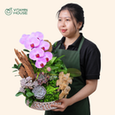 Chậu Lan Hồ Điệp Đà Lạt Hồng Sọc 1 Cành Đẹp