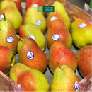 [Trái cây nhập khẩu] Lê Nam Phi (1Kg)
