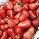 [Trái cây nội địa] Mận An Phước (500g)