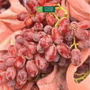 [Trái cây nhập khẩu] Nho Đỏ Úc Không Hạt Hộp 500g