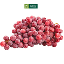 [Trái cây nhập khẩu] Nho Đỏ Úc Không Hạt Hộp 500g