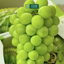 [Trái cây nhập khẩu] Nho Mẫu Đơn Greenvil Hàn Quốc Chùm 1kg