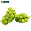 [Trái cây nhập khẩu] Nho Sữa NĐ Trung Hộp 800 - 900g