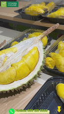 Là tín đồ của sầu riêng Musang King thì đừng bỏ qua video này nha