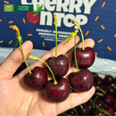 [Trái cây nhập khẩu] Cherry Canada Size 8.5 - Hộp 1kg