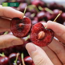 [Trái cây nhập khẩu] Cherry Canada Size 9.5 - Hộp 1kg