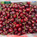 [Trái cây nhập khẩu] Cherry Canada Size 10 - Hộp 1kg