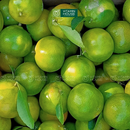 [Trái cây nội địa VN] Quýt Đường (1kg)
