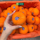 [Trái cây nhập khẩu] Quýt Nội Địa Trung (1kg)