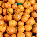 [Trái cây nội địa VN] Quýt Sim (500g)