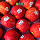 [Trái cây nhập khẩu] Táo Envy Mỹ Size 64/70 (500g)