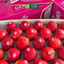 [Trái cây nhập khẩu] Táo Jugala Gem NZL Size 90 (500g)