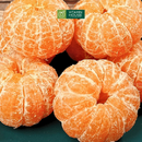 [Trái cây nội địa VN] Quýt Đường (1kg)