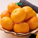 [Trái cây nhập khẩu] Quýt Nhật (1Kg)
