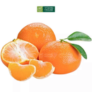 [Trái cây nhập khẩu] Quýt Nội Địa Trung (500g)