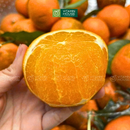 [Trái cây nội địa VN] Quýt Sim (500g)