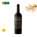 Rượu Vang Đỏ Dogma Cabernet Sauvignon Chile Chai 750ml (13.5%)