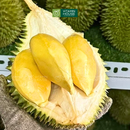[Trái cây nội địa VN] Sầu Riêng Sáu Hữu Nguyên Trái (Kg)
