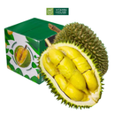 [Trái cây nội địa VN] Cơm Sầu Riêng Sáu Hữu (1Kg)