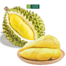 [Trái cây nội địa VN] Cơm Sầu Riêng Ri6 Huỳnh Lâm (Kg)