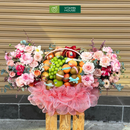 Giỏ Quà Trái Cây nhập khẩu cao cấp trang trí hoa tươi đẹp mắt Dành Cho Chị Em - Trao Sự Quan Tâm, Gửi Lời Chúc Ngọt Ngào
