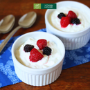 Sữa Chua Hy Lạp Greek Farmers Union Úc (500g/1kg)