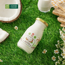 Sữa Chua Swiss Yogurt Vị Dừa Chai 200ml