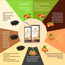 Sữa Óc Chó Hạnh Nhân Golden Health HQ Hộp 190ml