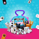 Kẹo Lồng Cún Cảnh Puppy Pocket Playmore 8g