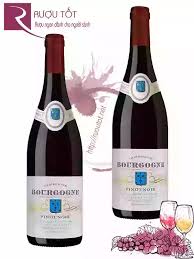 Rượu Vang Đỏ Cave de Lugny Bourgogne Pinot Noir Chai 750ml
