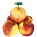 [Trái cây nhập khẩu] Táo Autumn Glory Mỹ size 88 (500g)